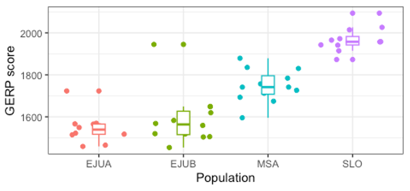 Inbreeding depression leads to reduced fitness in declining populations of wild maize